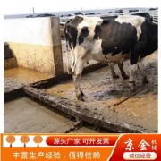 牛刮糞機 清糞機 養殖清糞設備