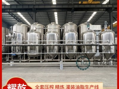 全套麻子油生產線 山茶籽油精煉加工設備 全自動核桃油精煉機